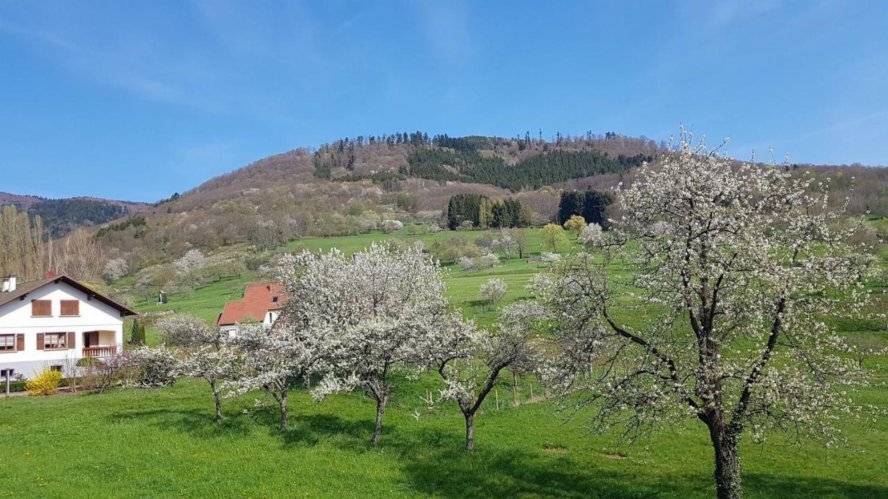 Breitenbach Le Breit Maison De Charme Avec Sa Dependance מראה חיצוני תמונה